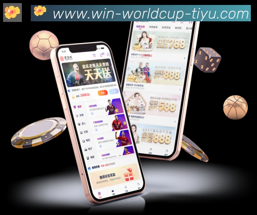 2026世界杯竞猜入口发展历程